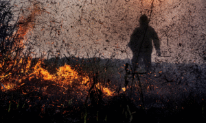 Leia mais sobre o artigo Alerta verde: Processos por crimes ambientais saltam quase 10 vezes no Brasil, com foco na Amazônia
