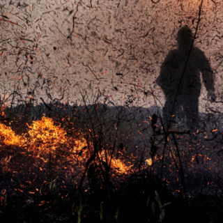 Alerta verde: Processos por crimes ambientais saltam quase 10 vezes no Brasil, com foco na Amazônia