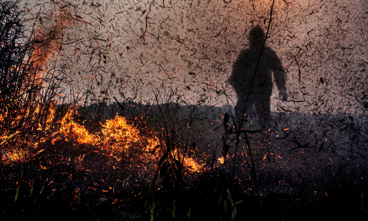 No momento, você está visualizando Alerta verde: Processos por crimes ambientais saltam quase 10 vezes no Brasil, com foco na Amazônia