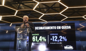 Leia mais sobre o artigo Desmatamento na Amazônia tem Queda Histórica de 61% em Maio de 2026, Aponta Inpe