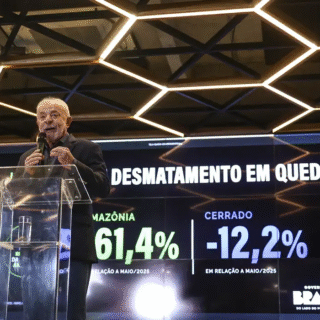Desmatamento na Amazônia tem Queda Histórica de 61% em Maio de 2026, Aponta Inpe