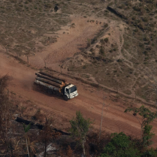 Fiscalização na Amazônia: Ibama mapeia latifúndios em áreas críticas de desmatamento