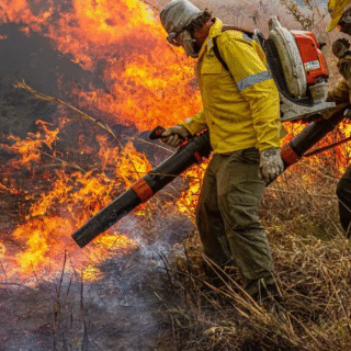 Orçamento ambiental: Medida Provisória destina R$ 337,5 milhões para conter desmatamento e incêndios