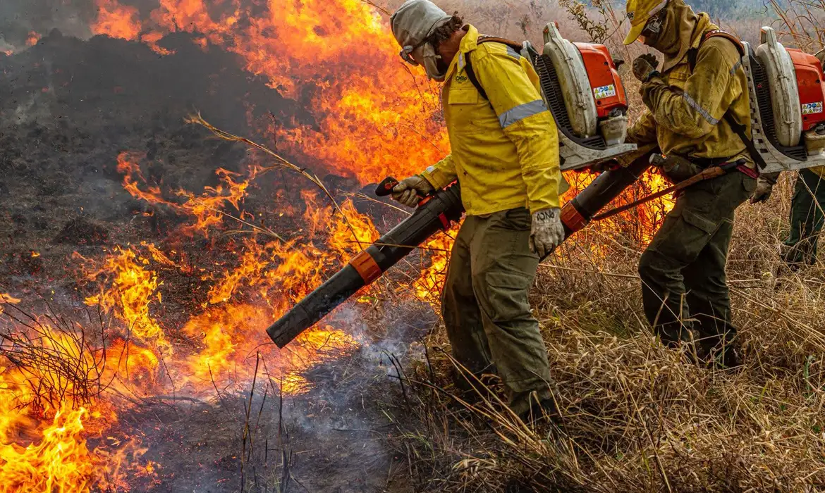 No momento, você está visualizando Orçamento ambiental: Medida Provisória destina R$ 337,5 milhões para conter desmatamento e incêndios