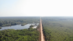 Leia mais sobre o artigo Planejamento Estratégico para a BR-319: Governo Federal Anuncia Medidas de Fiscalização e Gestão Ambiental