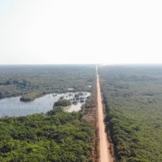 Planejamento Estratégico para a BR-319: Governo Federal Anuncia Medidas de Fiscalização e Gestão Ambiental