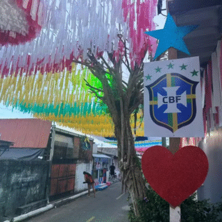 Festival e Copa do Mundo: Como Parintins transformou a rivalidade dos bois em torcida pelo Brasil