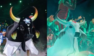 Leia mais sobre o artigo A Grande Final na Ilha da Magia: Caprichoso e Garantido Encerram o 59º Festival de Parintins