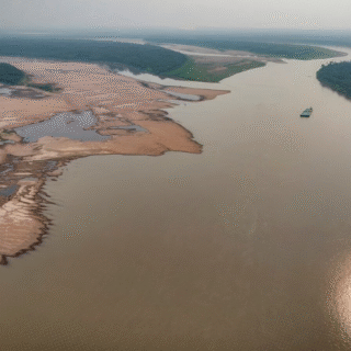 Estiagem na Amazônia: Rio Madeira apresenta retração e Rio Negro entra em fase de vazante