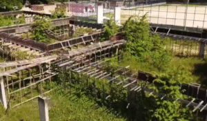 Leia mais sobre o artigo MPF estipula prazos e cobra plano de ação para destravar obras da Casa da Mulher Brasileira em Manaus