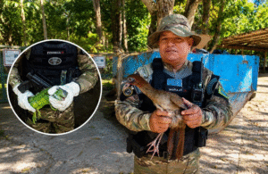 Leia mais sobre o artigo Patrulhamento Ambiental de Manaus resgata aracuã-pintado e iguana em áreas residenciais