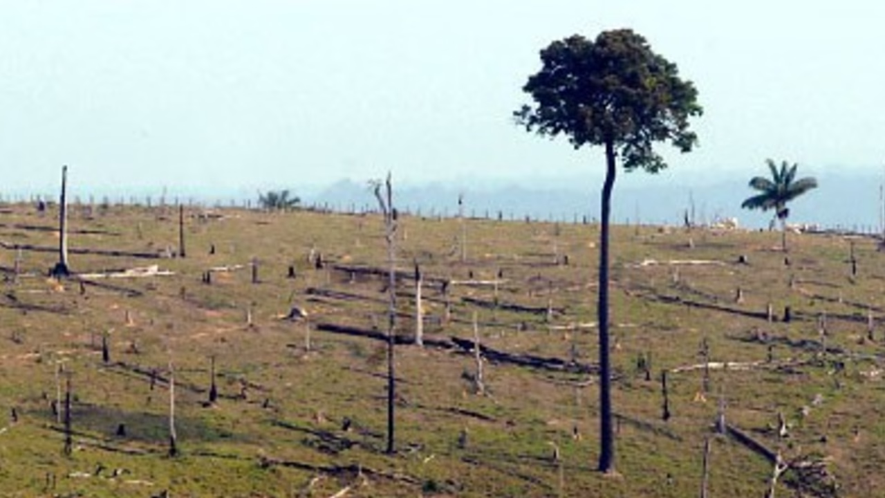 No momento, você está visualizando Brasil assume compromisso internacional para zerar saldo líquido de terras degradadas até 2030