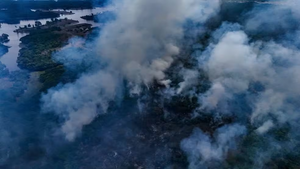 Leia mais sobre o artigo Incêndios de longa duração afetam comunidades rurais em Itacoatiara, Amazonas
