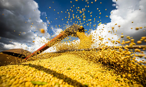 Leia mais sobre o artigo Agricultura Brasileira em 2025: Recorde de Produção e Nova Marca Territorial