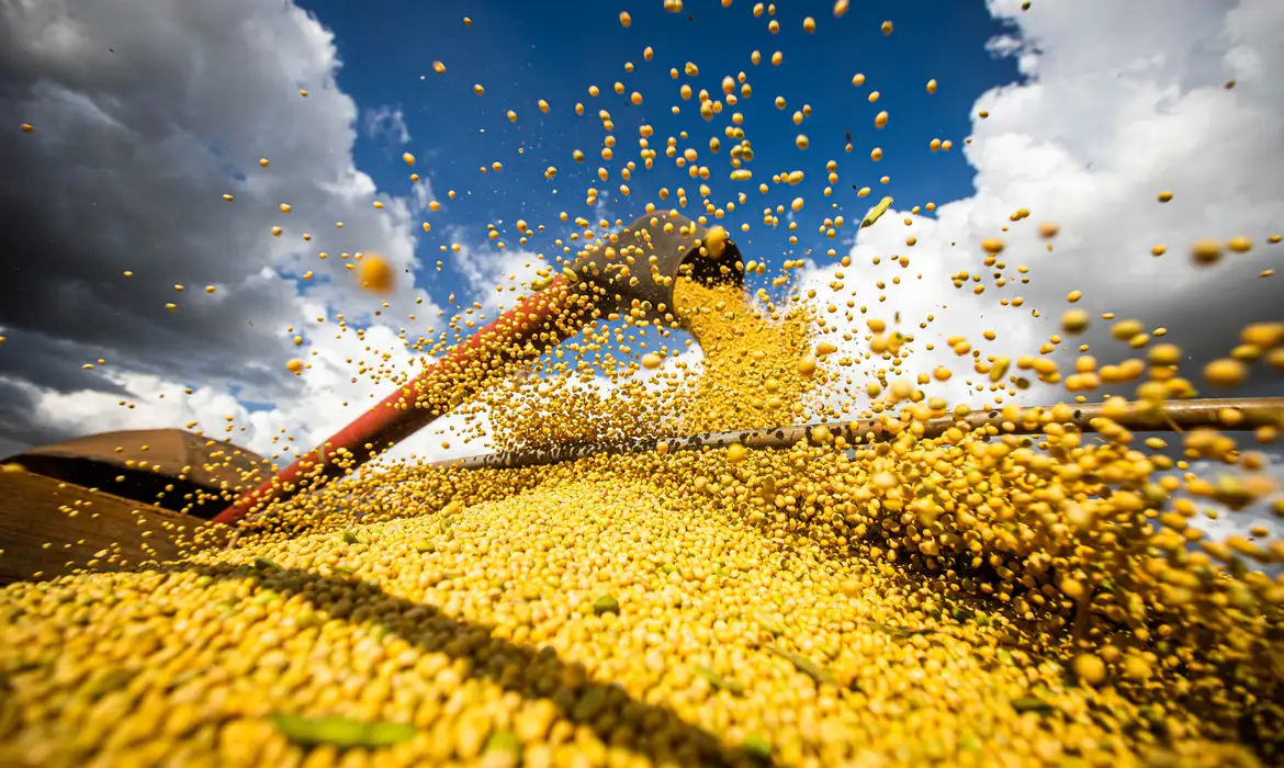 No momento, você está visualizando Agricultura Brasileira em 2025: Recorde de Produção e Nova Marca Territorial