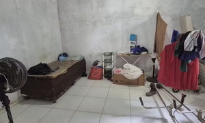 Leia mais sobre o artigo A Realidade Oculta nos Canteiros e Canis de Manaus: 41 Vidas Resgatadas