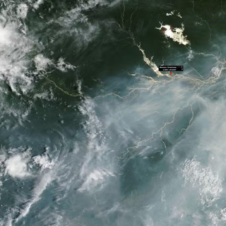 Quando a Cidade Parou na Névoa: O Desafio Crítico da Fumaça e dos Incêndios no Amazonas