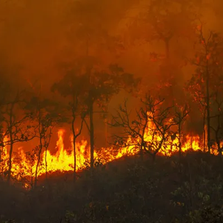 Governo Federal libera mais de R$ 45 milhões para reforçar combate a incêndios e seca no Amazonas