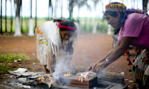 Leia mais sobre o artigo Tensão no Campo: Comunidades Guarani Kaiowá Relatam Agressões e Ameaças em MS
