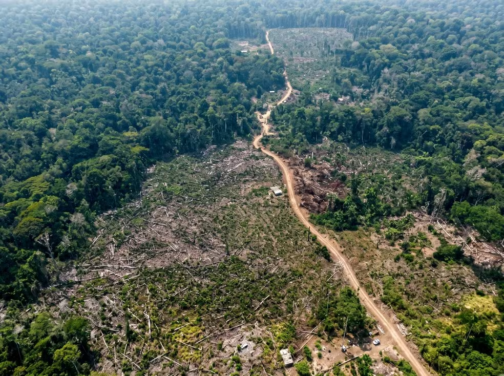 No momento, você está visualizando Operação Tamoiotatá 13: Mais de 900 Hectares Embargados e R$ 8,5 Milhões em Autuações em Seis Municípios do Amazonas