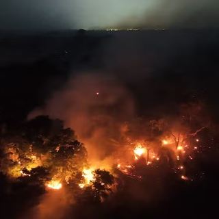 O Desafio da Fumaça: Amazonas Enfrenta Alta Expressiva de Queimadas e Alerta Ambiental em Outubro