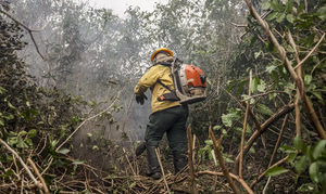 Leia mais sobre o artigo Focos de Incêndio no Amazonas: Governo Aponta Ação Humana Intencional e Reforça Operação de Combate