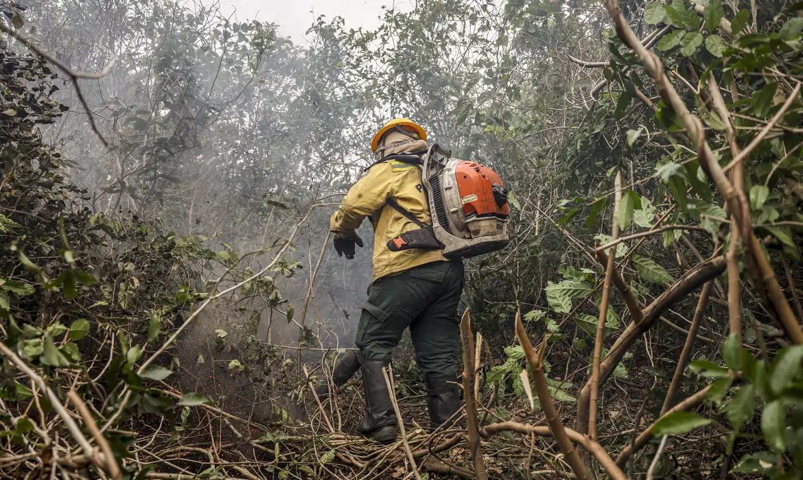 No momento, você está visualizando Focos de Incêndio no Amazonas: Governo Aponta Ação Humana Intencional e Reforça Operação de Combate