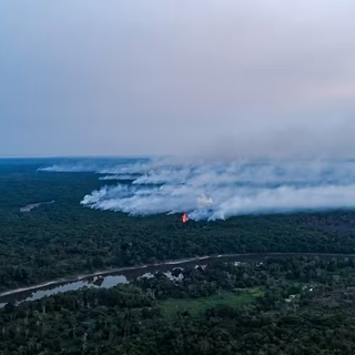 Fumaça e Fogo no Amazonas: Mais da Metade dos Municípios em Emergência e Rotina Paralisada