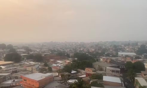 Leia mais sobre o artigo Por que Manaus Amanhece Coberta por Fumaça? Entenda a Dinâmica dos Ventos e a Origem dos Incêndios na Amazônia